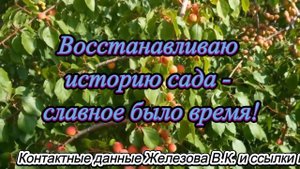 Восстанавливаю историю сада - славное было время!