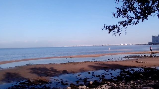 Вид с Жемчужного пляжа в сентябре 2025, в полдень. смотреть онлайн