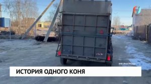 Новости от 21.10.2025