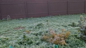 19 октября 2025