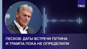 Песков: даты встречи Путина и Трампа пока не определили