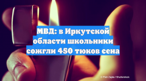 МВД: в Иркутской области школьники сожгли 450 тюков сена