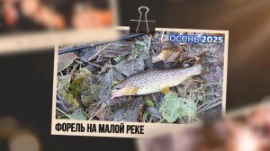 | Микро речка | Ловля ручьевой форели | Осень 2025 |