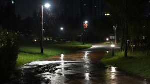 Спокойный ночной дождь в парке 🌧️ Успокаивающий белый шум для сна и отдыха
