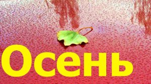 Осень Ставрополь