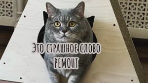 Ремонт дома для КОТА 😻