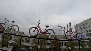 Севкабель порт с Анн на босую ногу по Петербургу