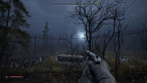 S.T.A.L.K.E.R. 2 -Аномалия электро-комета д. Опачичи