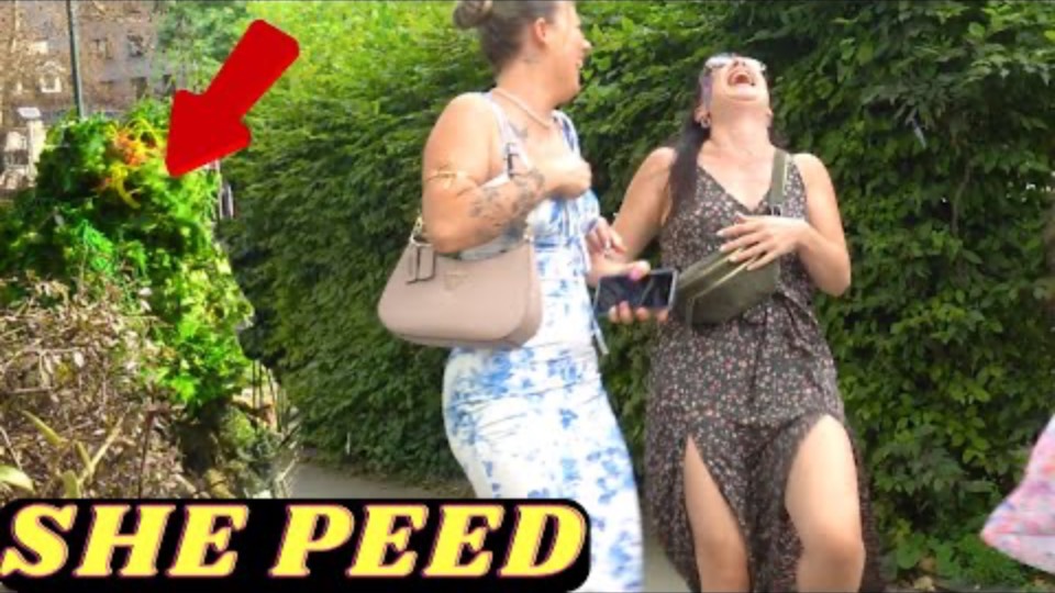 BUSHMAN PRANK (SHE PEED ON HERSELF) TOP VIDEO OF THE YEAR 2025 смотреть онлайн