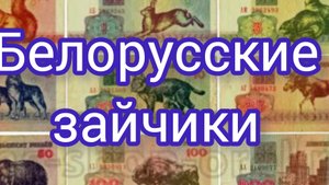Белорусские зайчики.