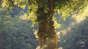 Жизненные истории  "Долгожданная беременность" Истории из жизни / Рассказы / Слушать аудио рассказы