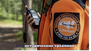 В добровольческих движениях Петербурга участвуют более 500 тыс. человек