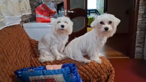 Вместо хорошего телефона...я купила полное.....