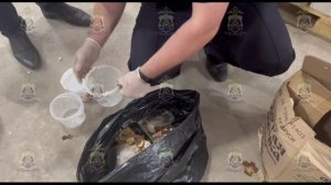 В Великом Новгороде осуждён второй участник противоправного бизнеса по производству мефедрона