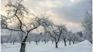 22 октября - Яков Дровопилец. Народные приметы и традиции