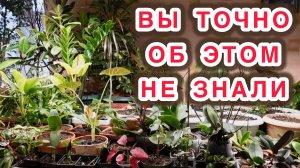 Нет сил больше молчать... пора все рассказать! Вся правда о рекламе