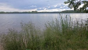 Поездка в Сосново Июнь '25
