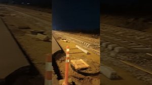 Басенджи Санечка проверяет трамвайные пути в Славянке