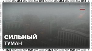 Синоптики предупредили москвичей о сильном тумане вечером 21 октября - Москва 24