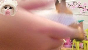 Мои все лошади и кони