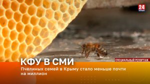 Пчелиных семей в Крыму стало меньше почти на миллион