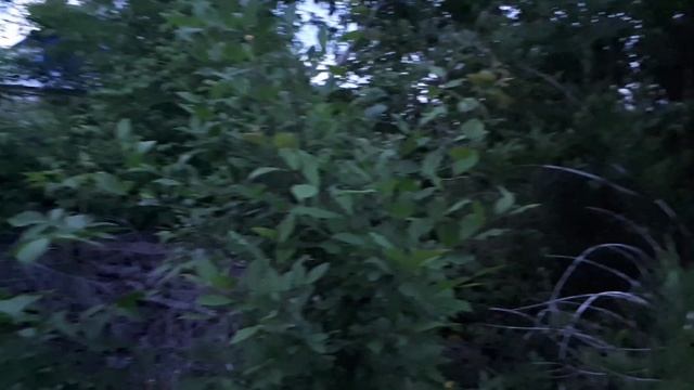 Дом.Часть 2