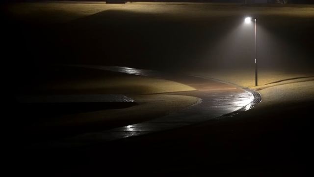 Мягкий дождь в туманном парке 🌧️ белый шум для спокойствия души