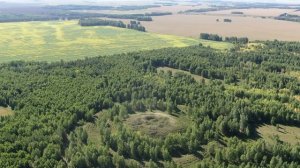 Сибирские скифы.