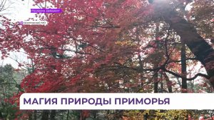 Туристов со всего Приморья привлекает живописный каскад водопадов в Шкотовском округе