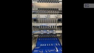 Многопоточный станок для фасовки жидких продуктов в фигурные саше пакеты WP-480YB