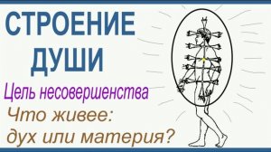СТРОЕНИЕ ДУШИ
