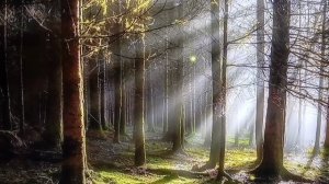 ТРЕНИРОВКА  НА СТЕППЕРЕ 😁😁😁