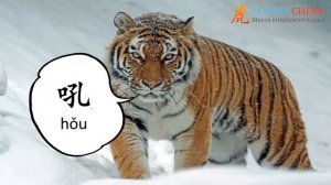 Как говорят животные на китайском языке