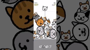 объеденяшки [cats are cute pop time]