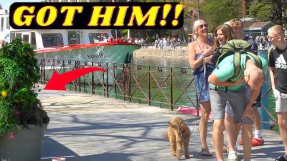 Ultimate Best of Bushman prank, (HE HAD NO IDEA) смотреть онлайн