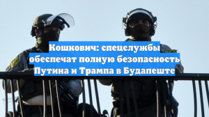 Кошкович: спецслужбы обеспечат полную безопасность Путина и Трампа в Будапеште