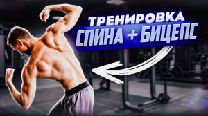 Тренировка спины и бицепса в тренажерном зале