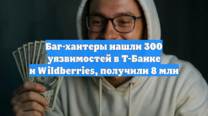 Баг-хантеры нашли 300 уязвимостей в Т-Банке и Wildberries, получили 8 млн