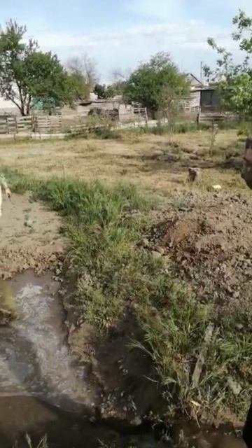 грязь в лицо