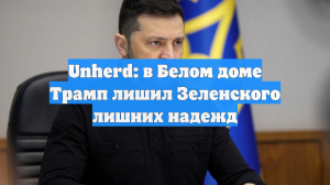 Unherd: в Белом доме Трамп лишил Зеленского лишних надежд
