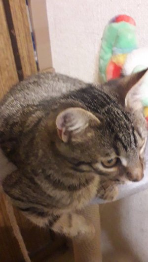 Барсюша, осенний дайджест!