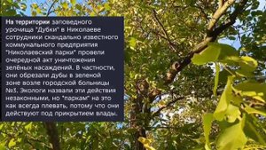 Николаев 22 октября 2025 года (новости)