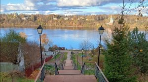 Купили сено, для повышения плодородия.