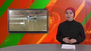 Биектау ТВ Выпуск от 21 10 2025