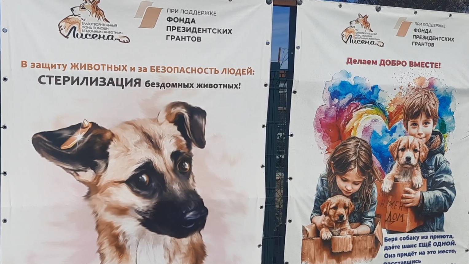 СПЕШИТЕ ДЕЛАТЬ ДОБРО !!! О приюте Лисена...Волгоградская обл. х. Бурковский. #приютдлясобак смотреть онлайн