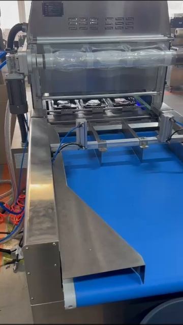 VID-20250405-WA0005 смотреть онлайн