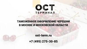 Растаможка черешни