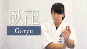 Гарю - Ката Карате Кёкусинкай (Garyu - 臥竜)v.3