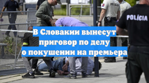 В Словакии вынесут приговор по делу о покушении на премьера