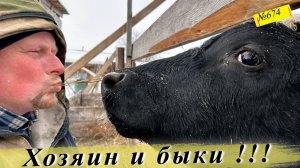 Как мы живём в Сибири каждый день. Жизнь и будни в Омской деревне.